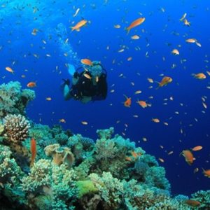 About-Andaman